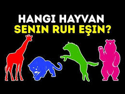 Senin Ruh Hayvanin Ne Youtube