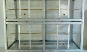 Lampion bambu ini dibuat dengan cara menganyam bambu. Persiapan Beternak Burung Kicau Murai Batu Bagi Pemula Sukses