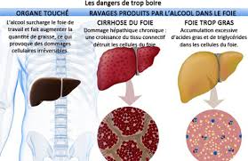 La consommation d'alcool (ou éthanol), principalement sous forme de boisson, est impliquée à des degrés divers dans plus de 200 problèmes de santé différents. Les Effets De L Alcool Dans Le Corps Sante Nutrition