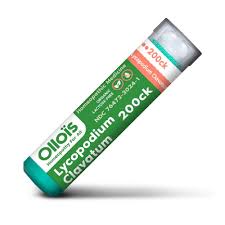 Image result for Lycopodium clavatum