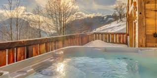 Enjoy private pools, a spa tub, and onsite parking. Chlorine Vs Saltwater Hot Tubs Which Is Better For Your Backyard Skovish