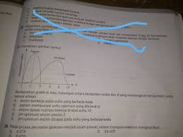 Check spelling or type a new query. Tolong No 27 Dijawab Brainly Co Id