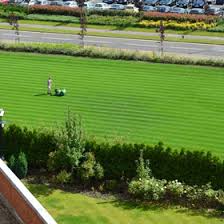 If you're still unsure about the best place to find a top local weed control service near you, rest assured that winlawn is here to help. Lawn Care Services Lawn Treatment Services Joe S Lawn Care