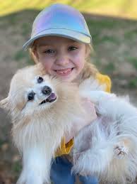 Pomeranian rescue and adoption needed