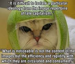 Deleuzian Cat Cat Quotes Funny Funny Cats Cats