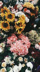Pinterest Littlemillelemos Flower Wallpaper Flower Aesthetic Beautiful Flowers