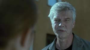 Johan Falk: Silent Diplomacy (2015) directed by Peter Lindmark • Reviews,  film + cast • Letterboxd