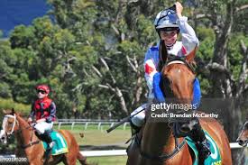 75 Bruce Cartwright Stock Photos, High-Res Pictures, and Images