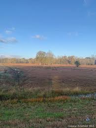 1751 Highway 165, Kinder, LA 70648