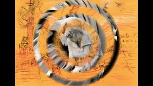 Banner spanduk bakso / soto / mie ayam. Tatyana Bolotina Rozman Video Arhiv