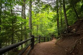 Aside from the wisconsin dells, copper falls state park has probably got the most interesting terrain found in wisconsin. Copper Falls State Park Mellen Wi Travel Wisconsin