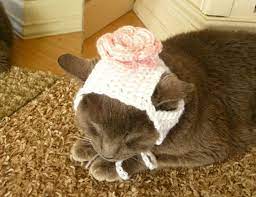 Pin On Crochet Knitting Patterns Supplies