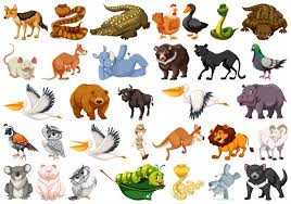 animals vectors 159 000 free files in ai eps format