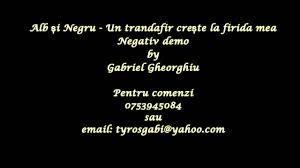 Un trandafir creste la firida mea verona adams feat. Negativ Alb È™i Negru Un Trandafir Creste La Firida Mea Negative Populare RomaneÈ™ti Chords Chordify