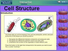 Interactive Animated Cells Prokaryotic Eukaryotic Plant Animal Http Www Wiley Com Legacy Colle Science Cells Life Science Lessons Teaching Biology