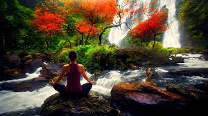 Nov 07, 2018 · 3. Relaxar Musica Relaxante Para Dormir Com Suave Som De Cachoeira E Floresta Youtube