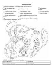Both plant and animal cells have double membranes and their own dna. Amimal Cell Coloring Sheet Jpg Animal Cell Coloring Http Www Biology Corner Com Worksheets Ce Sheets Cellcolor Old Html Mrs Potter Animal Cell Course Hero