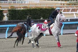 ムーア危機一髪 ラニ 絡まれた放馬 一蹴 で事なきを得る スポニチ sponichi annex ギャンブル ラニ 競走馬 馬