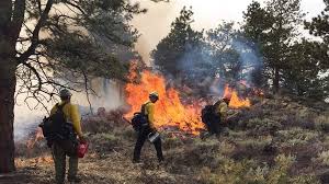 Colorado fire prevention and control. To Control Forest Fires Western States Light More Of Their Own The Pew Charitable Trusts