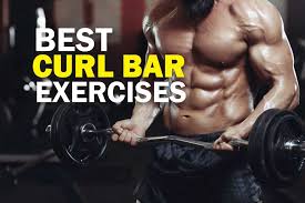 10 Best Curl Bar Exercises To Build Massive Arms 2019