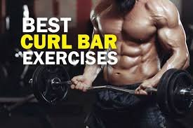 10 best curl bar exercises to build massive arms 2019