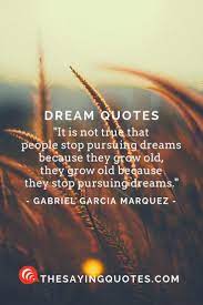 100 Best Dream Quotes About Life Love And The Future Uplated 2018 The Saying Quotes Dream Quotes Life Quotes Pursuing Dreams