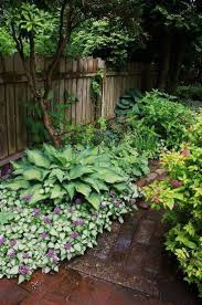 Top 10 Des Idees De Jardin Ombrage Pour L 39 Arriere Cour Gardening Gardendesign Gardenideas Shade Garden Design Shade Garden Plants Shade Plants