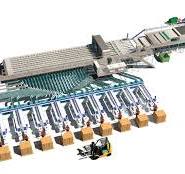 ICOEL Cherry sorting solution. Electronic Sorting Machine