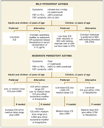 Image result for Moderate Persistent Asthma