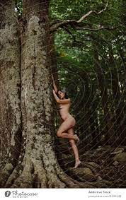 Nackte sinnliche Frau am Baum im Wald - ein lizenzfreies Stock Foto von  Photocase