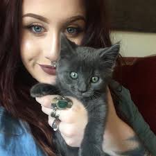 My gorgeous boys… Last December I said goodbye to my baby of 19 years,  Phoenix (long hair domestic/ green eyes). I found him as a stray kitten