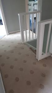 The perfect carpet to decorate stair treads is neither too thin nor too thick. Wool Stair Carpet In Sunderland Fur 100 00 Zum Verkauf Shpock At
