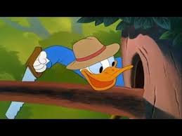 Donald Duck Cartoons Full Episodes 2015 New Compilation Chip And Dale Cartoons Full Movie Youtube Disney Cartoons Mickey Mouse Cartoon Duck Cartoon