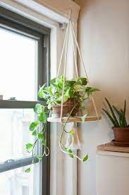 This wooden hanging plant shelf is not only incredibly minimal and pretty but also incredibly versatile. 37 Indoor Hanging Plants Ideas To Decorate Your Home Vimdecor