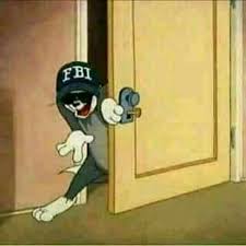We have more cases because we do more testing. Pin By Gold Wolf On Memes Jerry Memes Tom And Jerry Memes Cartoon Memes