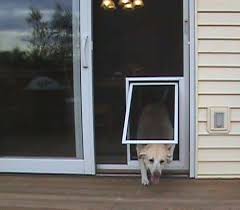 Security Boss Pet Screen Door Pet Screen Door Screen Door Dog Window