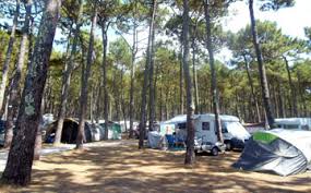 Camping Bremontier Arcachon Bay Campsite Cap Ferret Campsite