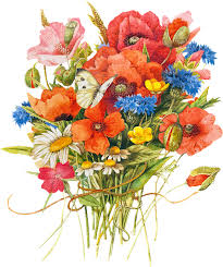 Download Publicat De Eu Ciresica La Verjaardag Vrouw Marjolein Bastin Full Size Png Image Pngkit