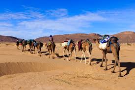 The arabic origin is unclear; Going On A Safari The Root S F R And How You Can Derive Other Words From This Root In Arabic Arabic Online