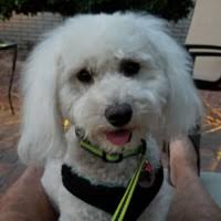 30+ "Judy Lieberman" profiles