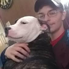 Lost Pitbull Dog in Yakima Valley Area