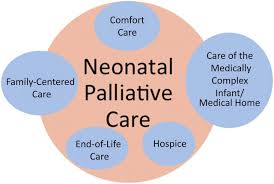 End of life care should begin when you need it and may last a few days, or for months or years. Comfort Care Vs Palliative Care Is There A Difference In Neonates American Academy Of Pediatrics