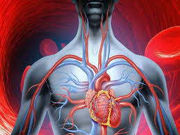 The secrets are the acupressure heads & oscillation vibration system. How To Improve Your Blood Circulation In The Most Natural Ways Lifealth
