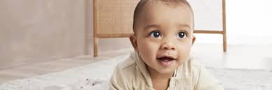 Carter's Logo & Brand Assets (SVG, PNG and vector)