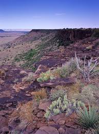 Nov 18, 2012 · black mesa state park is a beautiful area, but one thing mars it: Pin By Katie Just On Favorite Places Spaces Oklahoma State Parks Oklahoma Travel State Parks
