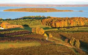 From the archive (ice camp 2002): Visit Vineyards A General Store And Historic Inns On An Old Mission Peninsula Fall Color Tour Mynorth Com