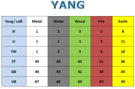 Yang Command Points Acupuncture Points Acupuncture