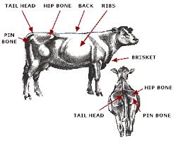 Use of body condition scores in clinical assessment of the provision of optimal nutrition. Body Condition Scoring Your Beef Cow Herd Unl Beef