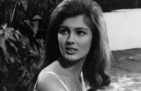 Pamela Tiffin's Instagram, Twitter & Facebook