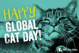 Six things you need to know about global cat day®. Alley Cat Allies On Twitter Global Cat Day Is Finally Here We Re So Excited To Celebrate With You By Sharing Stories About How You And Your Community Advocate For Cats Have A